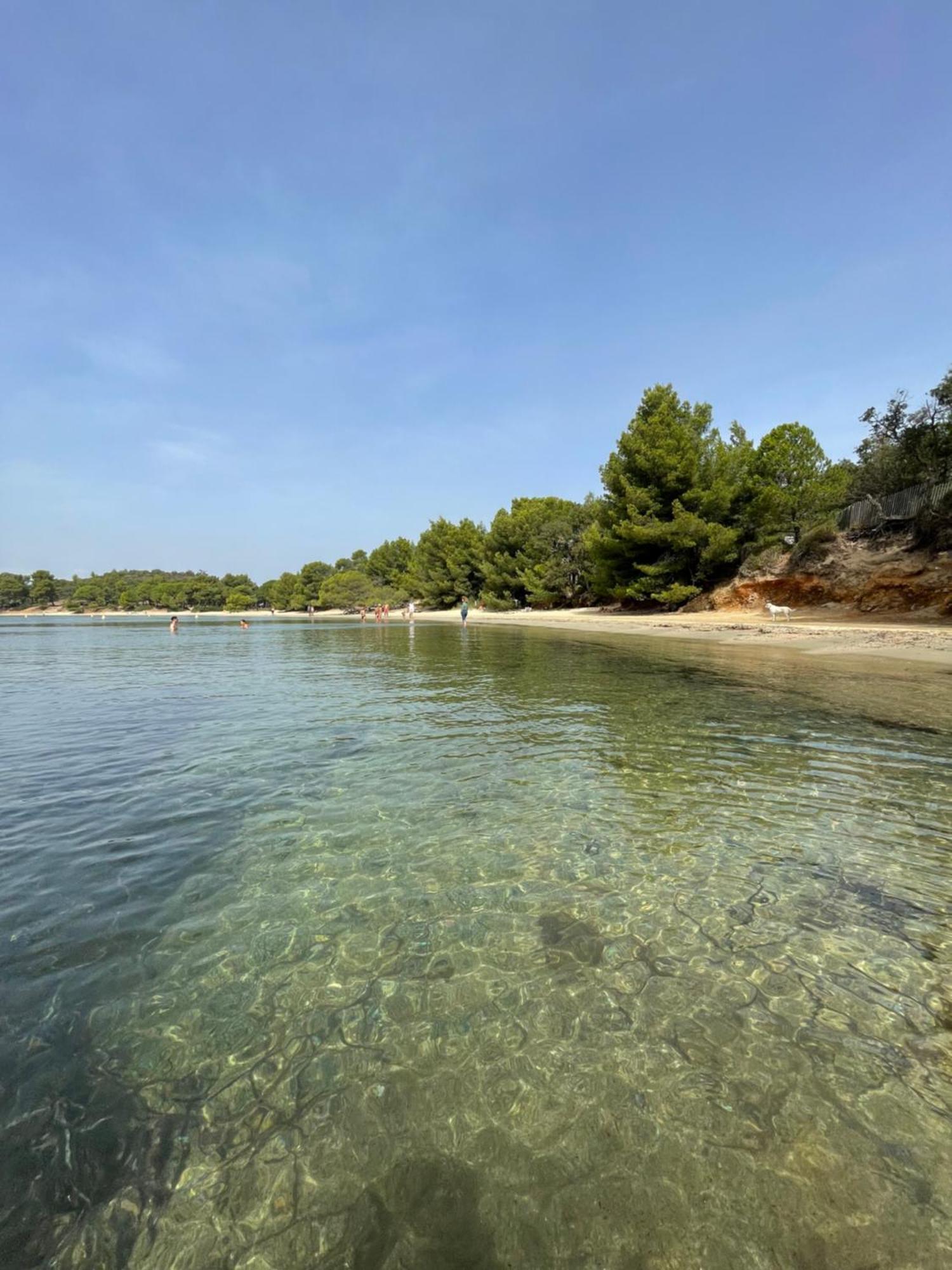 Appartement Plage Piscine Et Tennis Inclus La Londe-les-Maures Exterior foto
